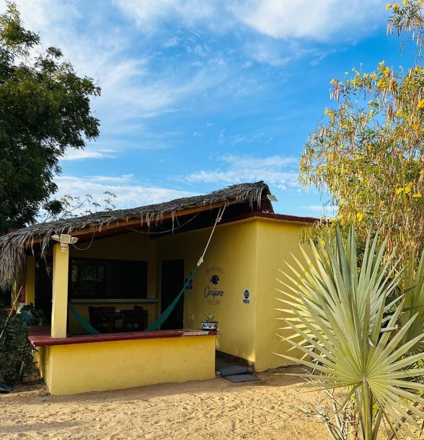Bungalow Cirujano Apartman Cabo Pulmo Kültér fotó